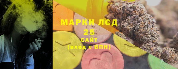 соль ск Алексин