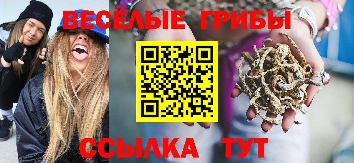 Псилоцибиновые грибы мицелий Киров